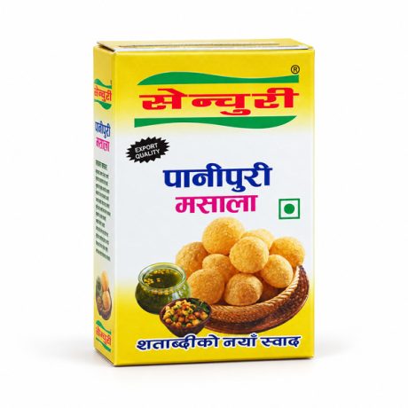 CENTURY Panipuri Masala 1 X 50g