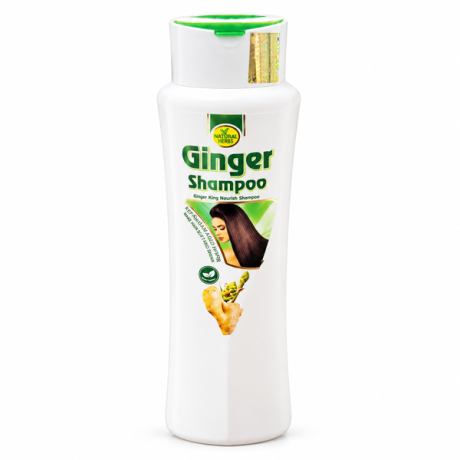 GINGER Shampoo 400ml